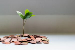 Gestion de bankroll : comment ne jamais tout perdre en pariant